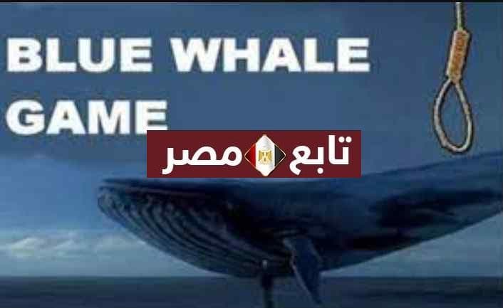 هيئة الاتصالات الأردنية تعلن حظر لعبة الحوت الأزرق 