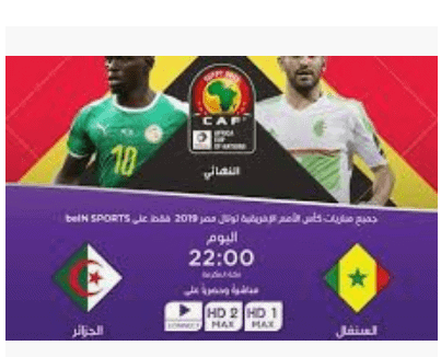 نهائي بطولة كأس أمم إفريقيا 2019 وتوقعات نتيجة مباراة الجزائر والسنغال