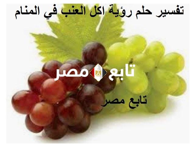 تفسير حلم رؤية اكل العنب في المنام tafsir ahlam من كتاب تفسير الأحلام الكبير لابن سيرين