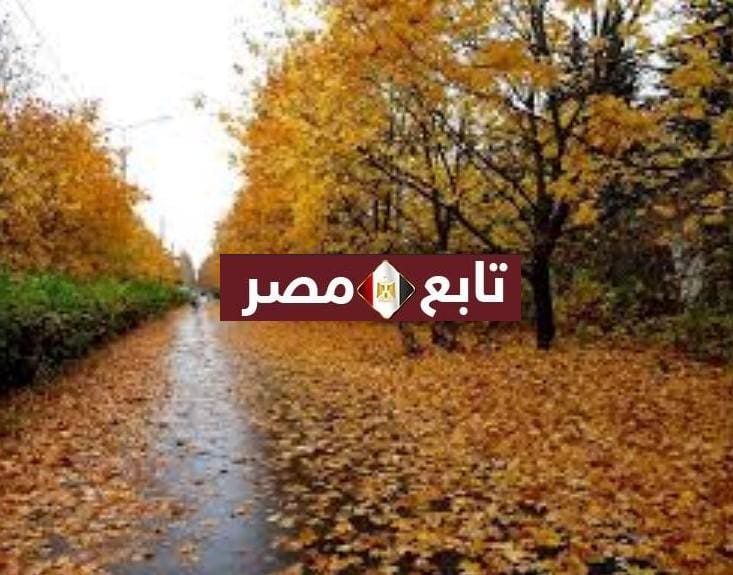 فصل الخريف 2020 في السعودية بدايته ونهايته وألوان الملابس لهذا الفصل