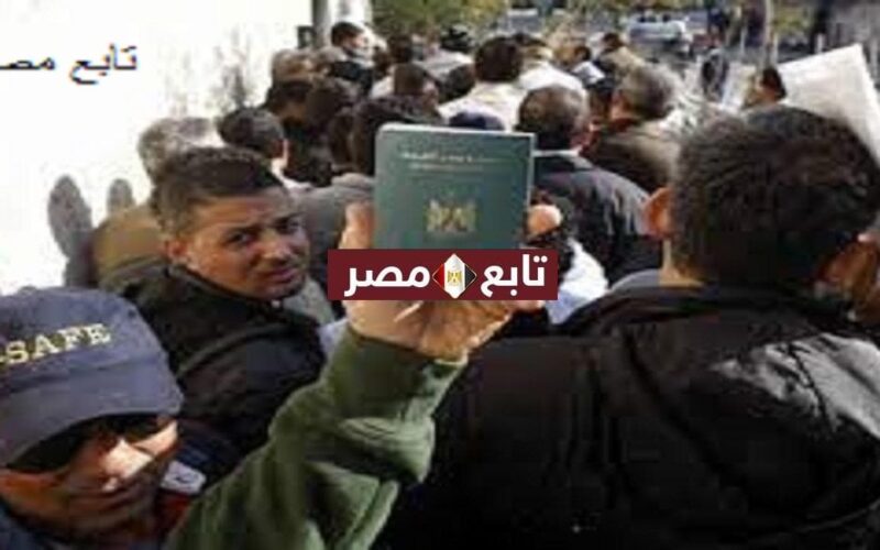 التأمين الاجباري على المصريين بالخارج موعد تطبيقه