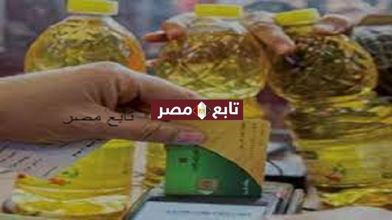 شروط التسجيل في بوابة مصر الرقمية لإضافة المواليد الجدد