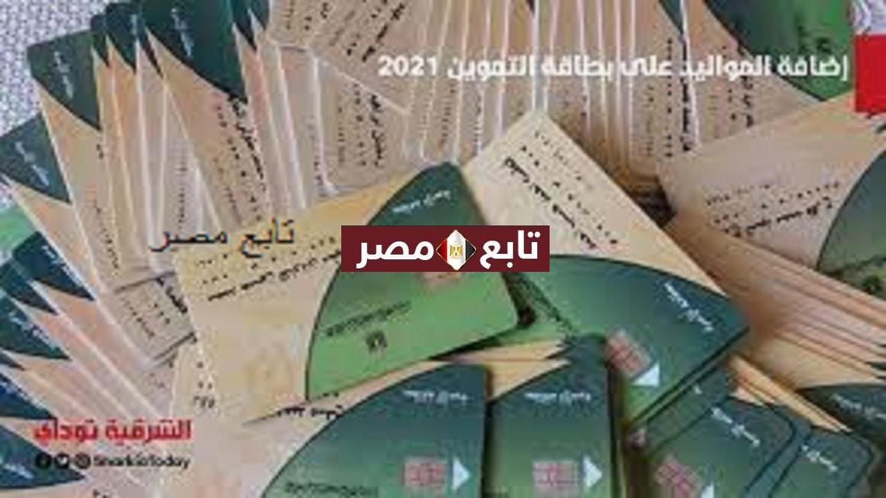 التسجيل في بوابة مصر الرقمية لإضافة المواليد الجدد والشروط