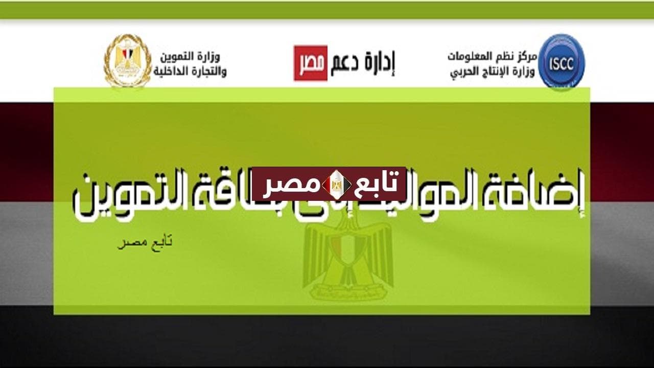 اضافة المواليد لبطاقة التموين عن طريق النت دعم مصر tamwin
