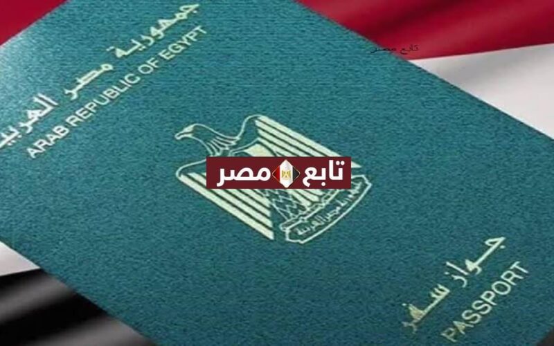 رسوم استخراج جواز السفر الجديد 2021 في نظام التأمين الإجباري