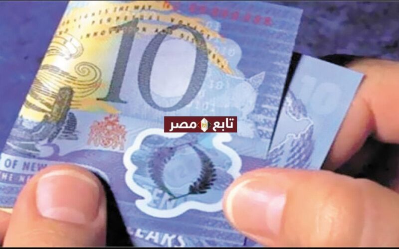 شكل العملة البلاستيكية المصرية الجديدة 2021