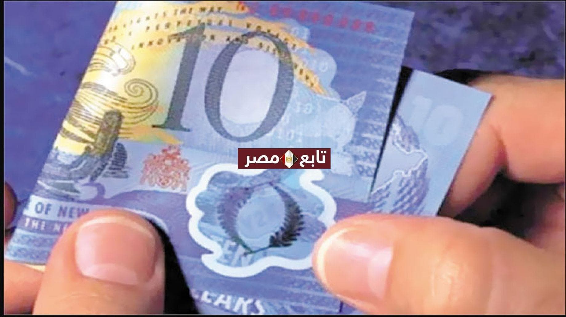 شكل العملة البلاستيكية المصرية الجديدة 2021