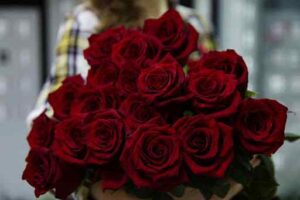 بوكيه ورد احمر رومانسي 2022 Rose Flower images