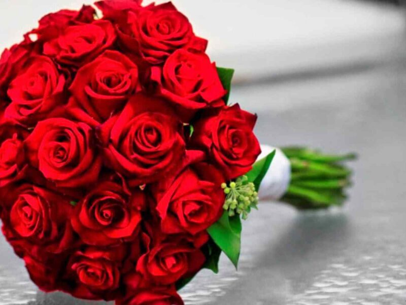 بوكيه ورد احمر رومانسي 2022 Rose Flower images