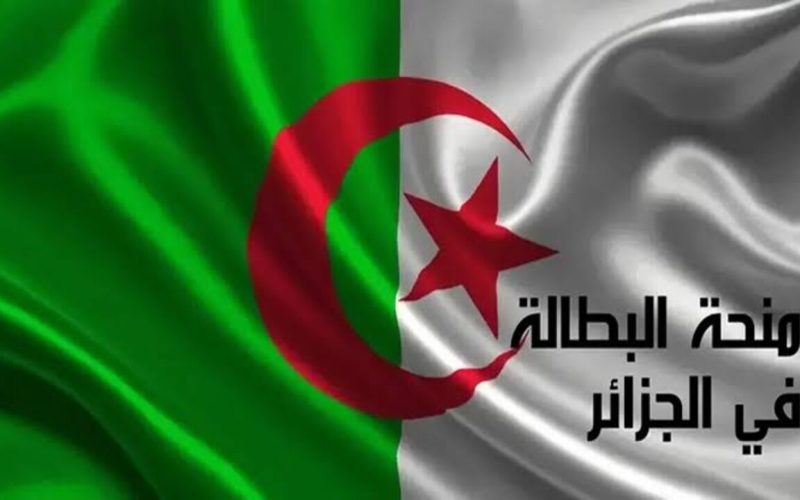 احصل على 15 الف دينار.. خطوات التسجيل في منحة البطالة بالجزائر بهذه الشروط 2024
