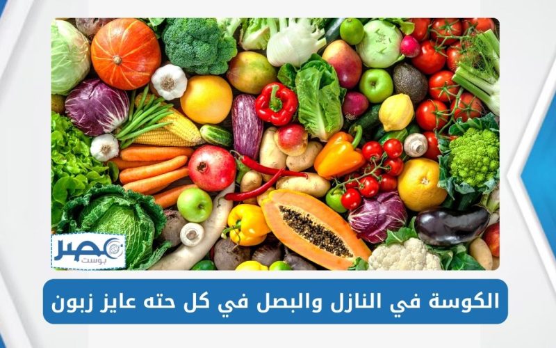 بعد الزيادة الأخيرة.. أسعار الخضروات والفاكهة اليوم الأربعاء 8 مايو في سوق الجملة